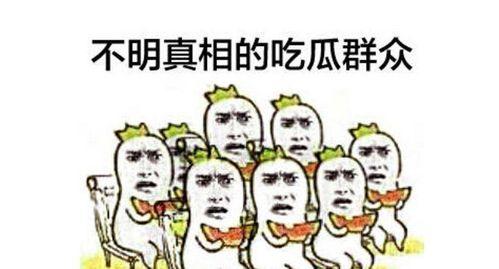 前任吃瓜群众后续小说,揭秘娱乐圈背后的秘密